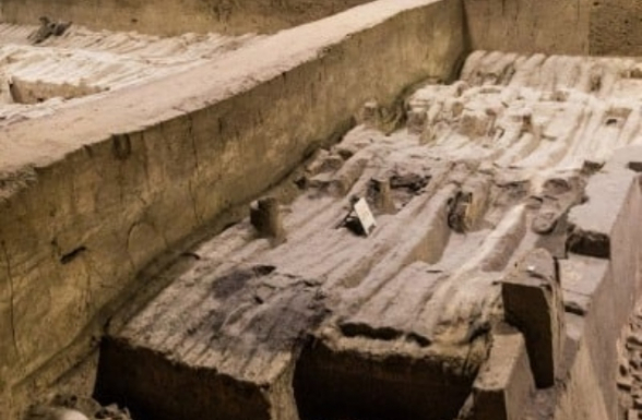 Մայաների ավերակների պեղումների ժամանակ կենդանիների մնացորդներով հնագույն դամբարաններ են հայտնաբերվել